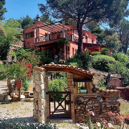 Villetta Dei Fichi D'India Rio dellʼElba Bagian luar foto