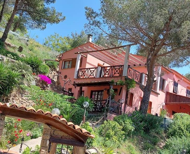 Villetta Dei Fichi D'India Rio dellʼElba Bagian luar foto